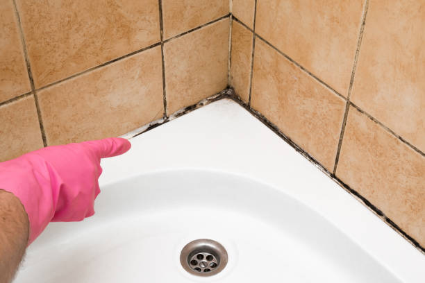 Best Office Mold Removal Services  in Calverton Park, MO